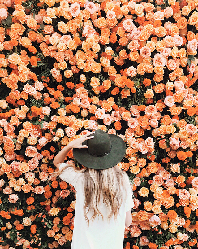 flower wall // stop and smell the roses // sarah sherman samuel